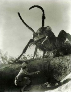 Ant attack on Dr. Pat Medford