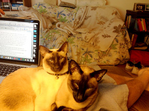 Writing; no we don't think so--not on our lap.